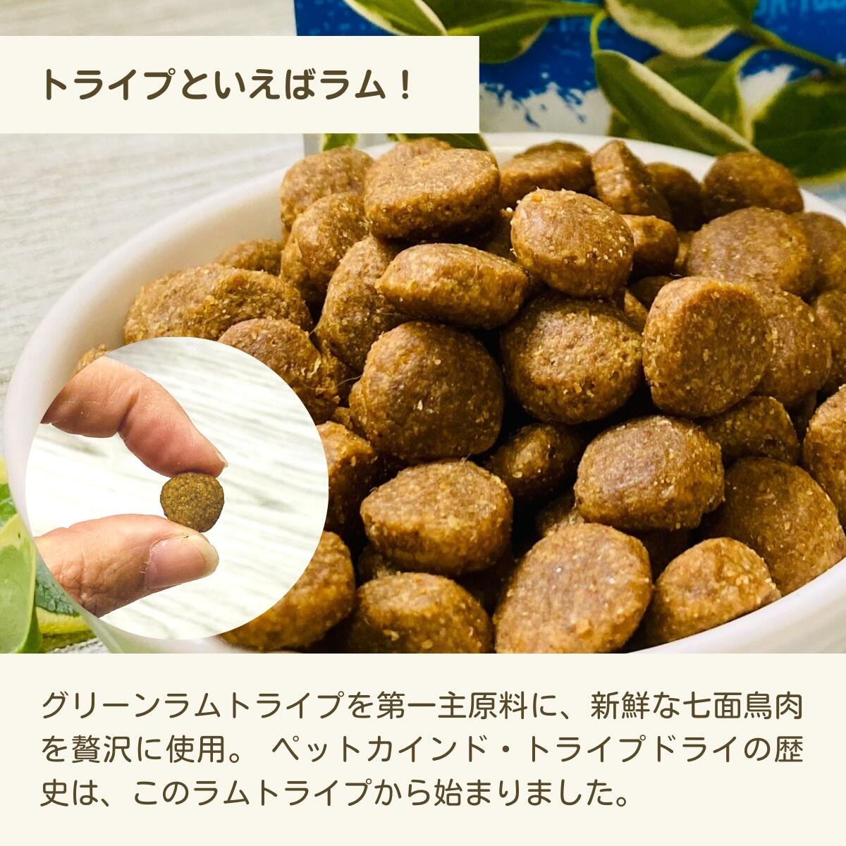 楽天市場】ペットカイン ドグリーンラムトライプ 11.34kg 正規品