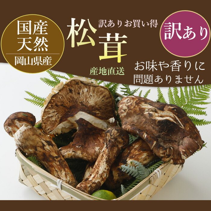 楽天市場】2026年10月分予約 【全額返金】松茸 訳あり 国産 産地直送
