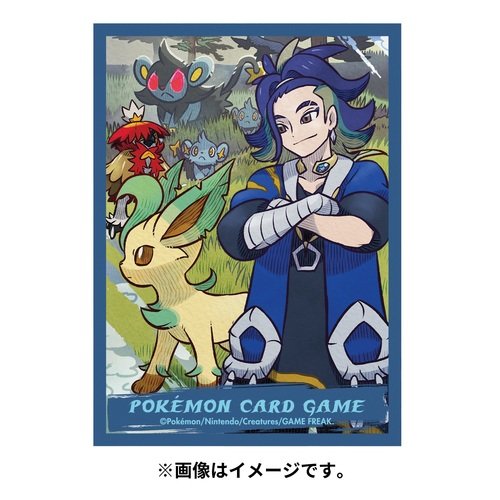 ポケモンカード リーフィア イーブイポンチョシリーズ デッキシールド