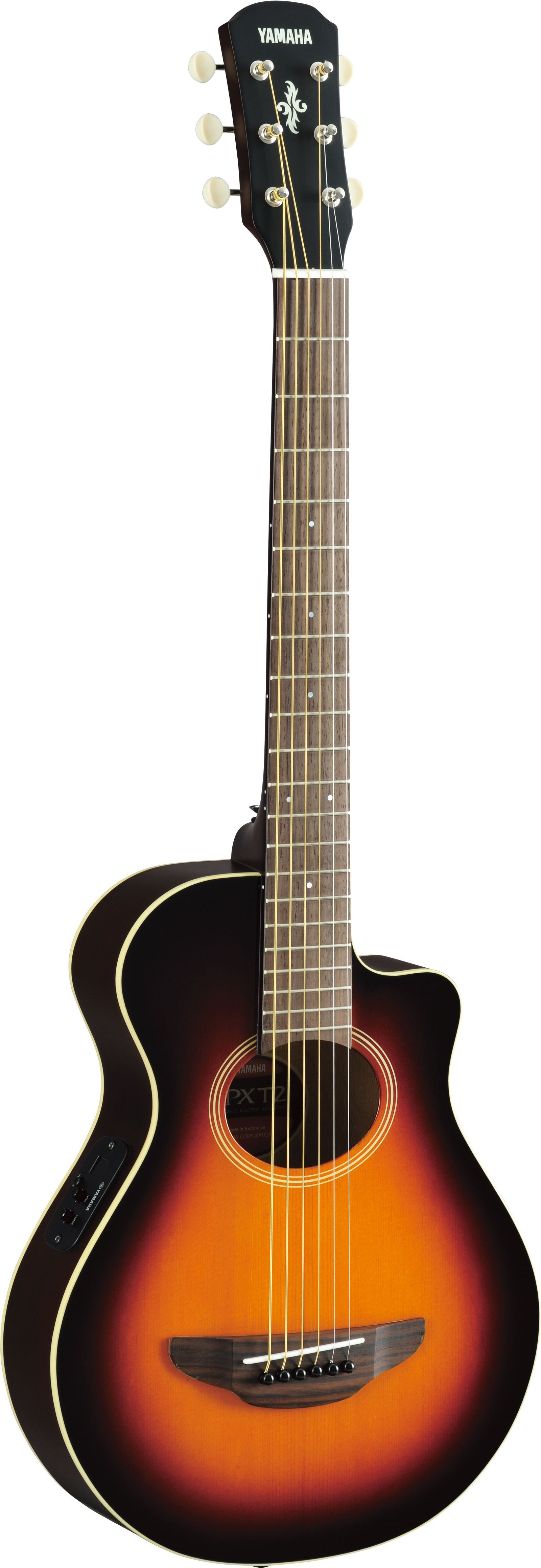 APXT2 - Overview - Acoustic Guitars - Guitars, Basses & Amps