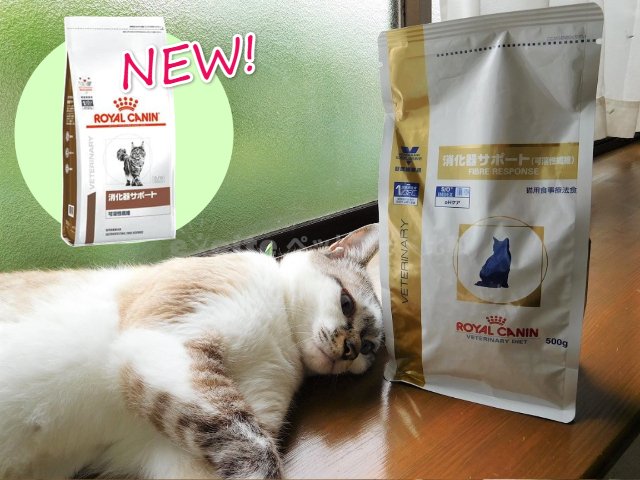 ロイヤルカナン 猫 消化器サポート 可溶性繊維 チャンク イン