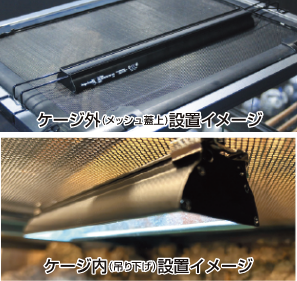 バータイプソラリウム｜ゼンスイ株式会社