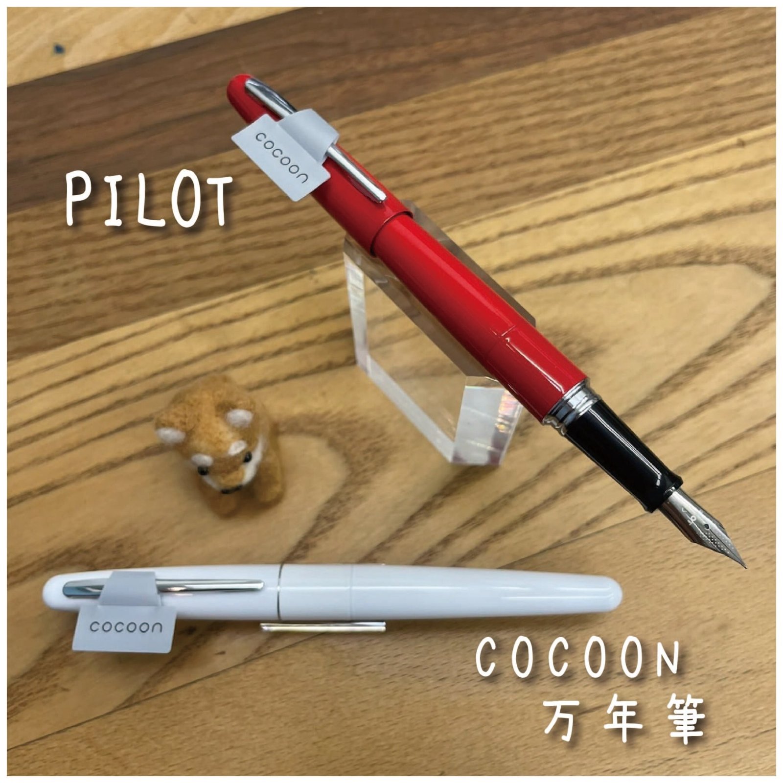 PILOT コクーン 万年筆 限定（クリックポスト不可） | 看板犬のいる