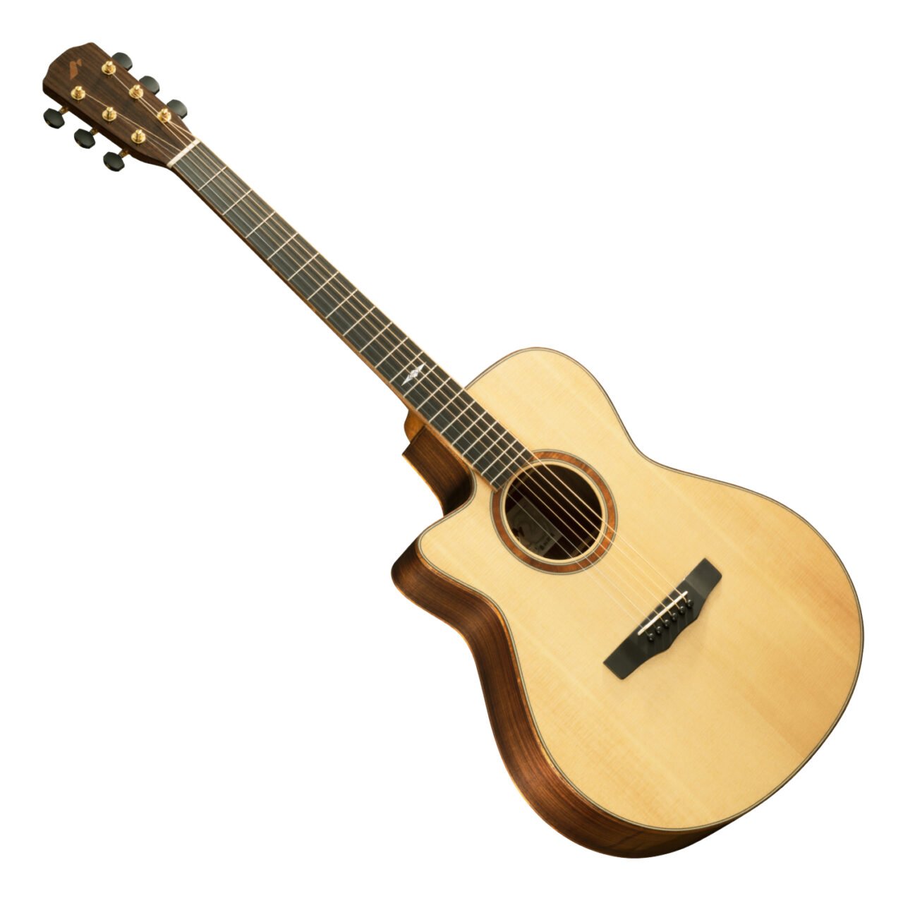 左利き用アコースティックギター MORRIS(モーリス) F-01LHTS
