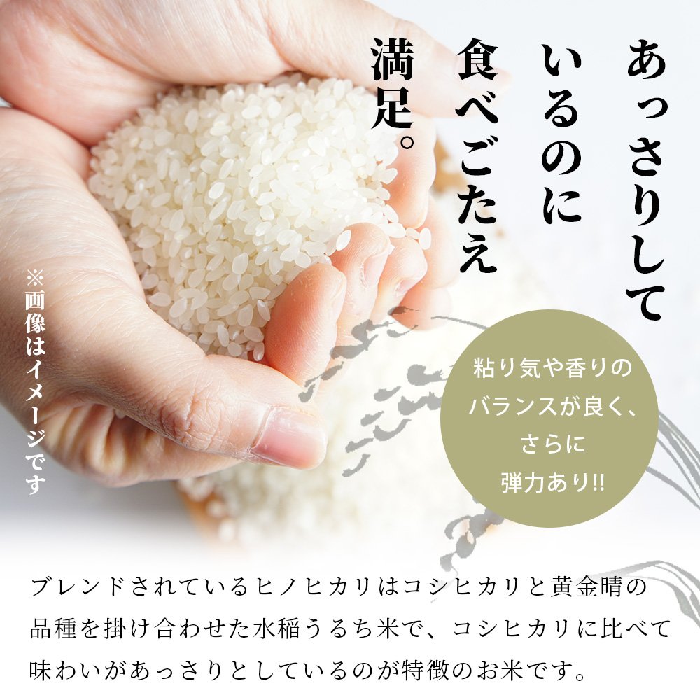 令和6年産 精米 「ふる里からの贈り物」20kg 国内産 ひのひかり