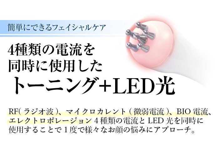 Fortuna B&D Self Plus(フォルトゥナビーアンドディーセルフプラス
