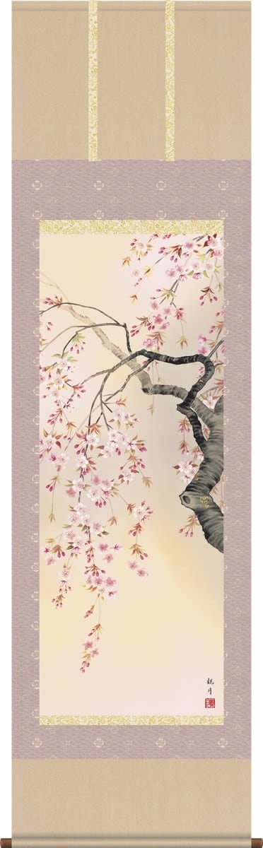 掛け軸 掛軸 桜 森山観月・桜花爛漫 尺五 花鳥画 春 桐箱 風鎮付き