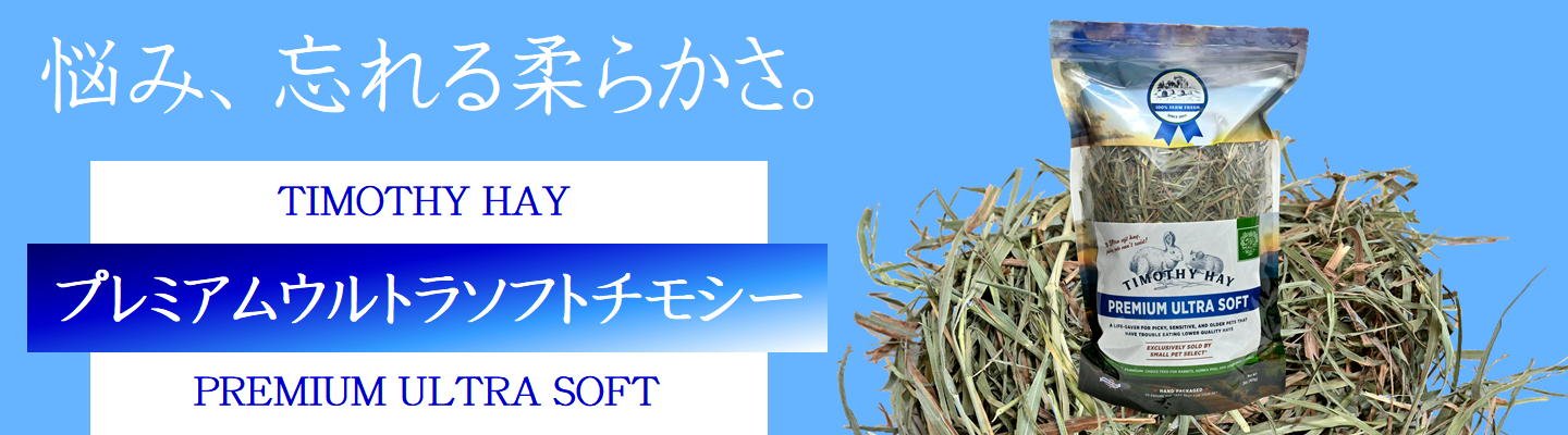ウーリー チカラのちから 80錠 ※賞味期限2026.11.06 | うさぎ専門店