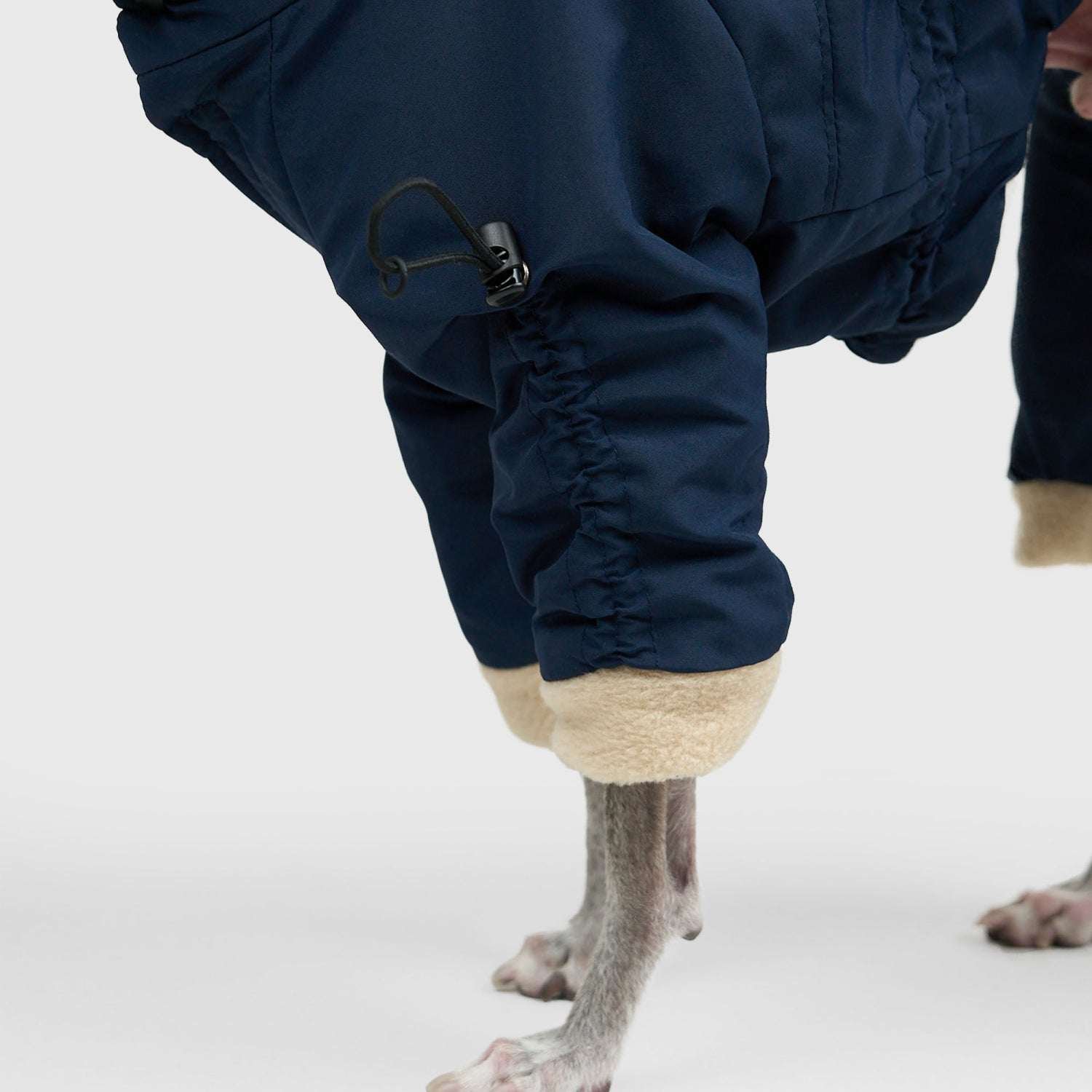 APOLLO SUITS | Howly | 調整機能と保温性を備えた、ミニマルなドッグ