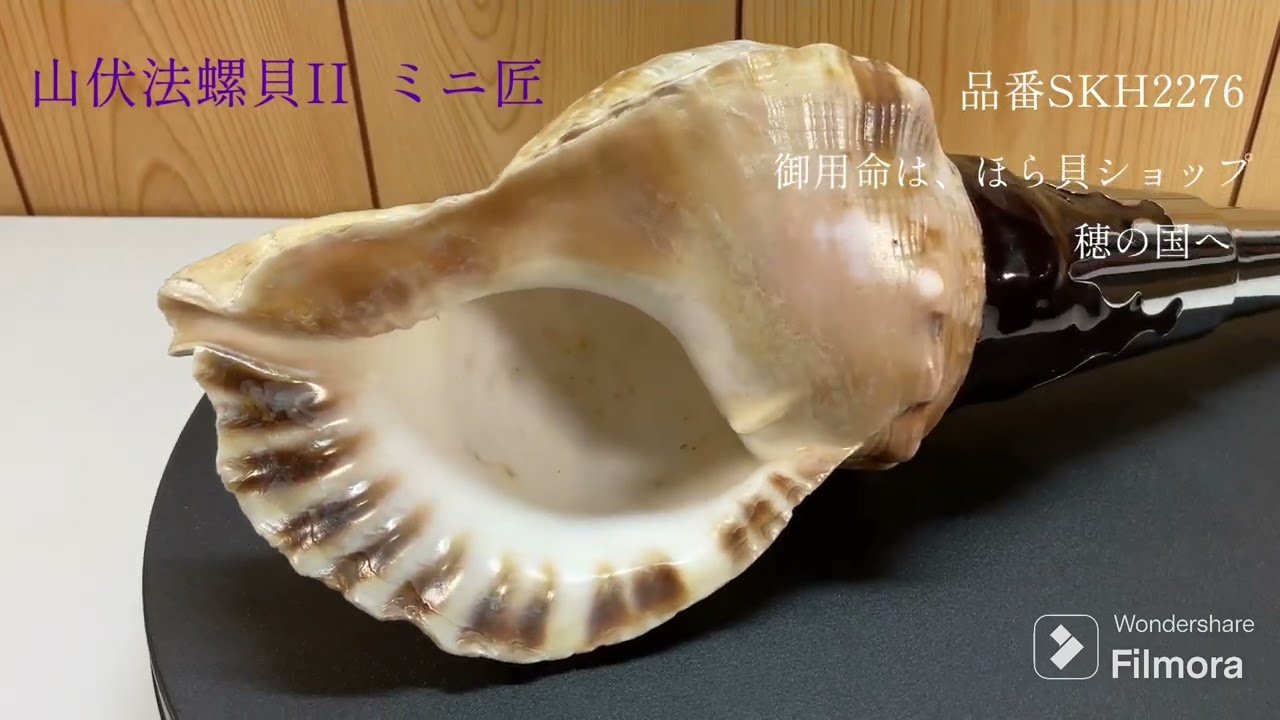 法螺貝 ほら笛 Z ほら貝 ホラ貝 法螺貝 貝笛