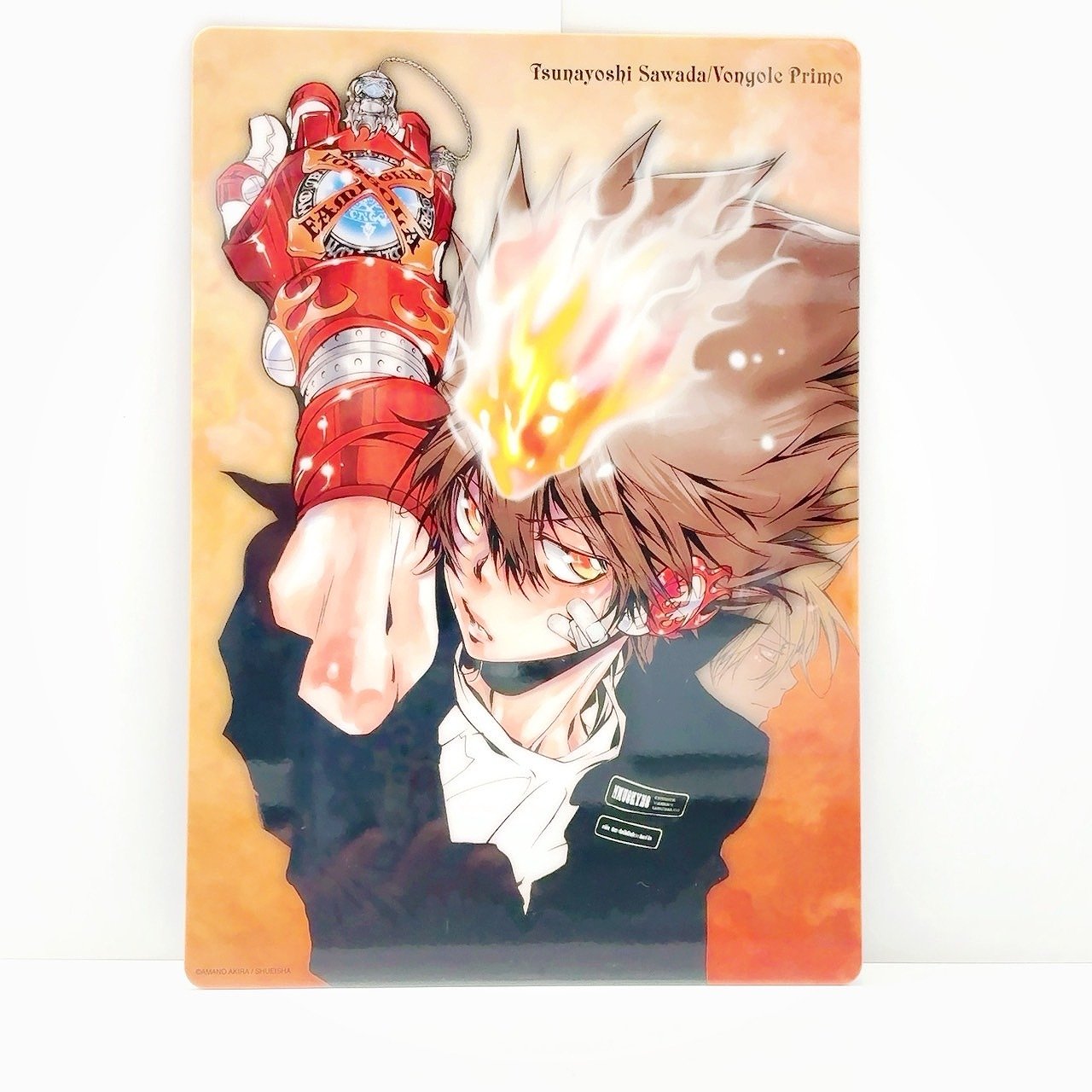 家庭教師ヒットマンREBORN! ポストカード 沢田綱吉 獄寺隼人 リボアニ