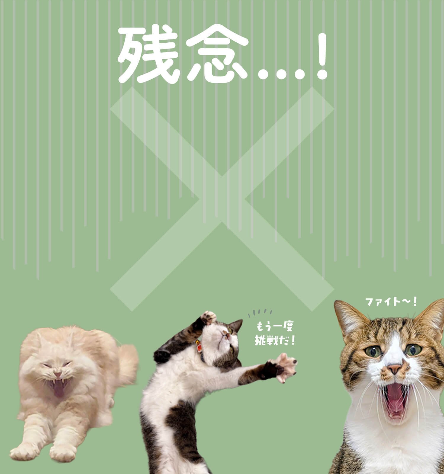 2月22日は猫の日！猫の日を記念して、22円が寄付されるチャリティ