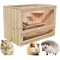 ハリネズミ飼育セット