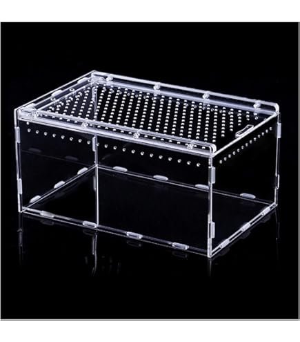 Amazon | SAYPANLAR 爬虫類 ケージ 30 × 20 × 15 CMレプタイルボックス