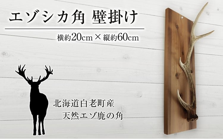 蝦夷鹿の角 58本分 ハネ品7本分無料 蝦夷鹿の角 58本分 ハネ品7本分