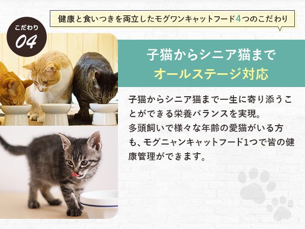 Amazon | モグニャン キャットフード （1.5kg）全猫種 全年齢 対応