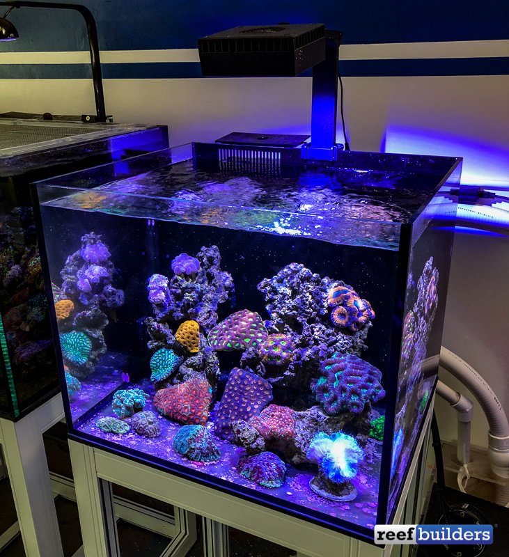 red sea reef LED50 2台