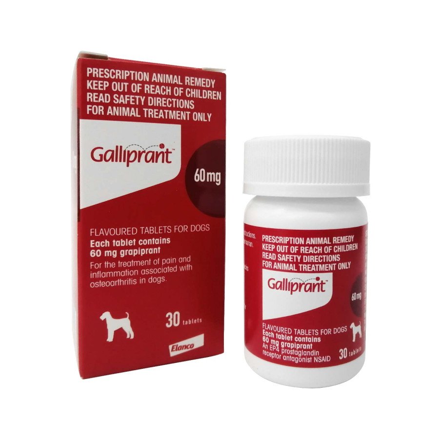 ガリプラント60mg30錠｜関節炎｜犬猫薬の通販｜ペットくすり