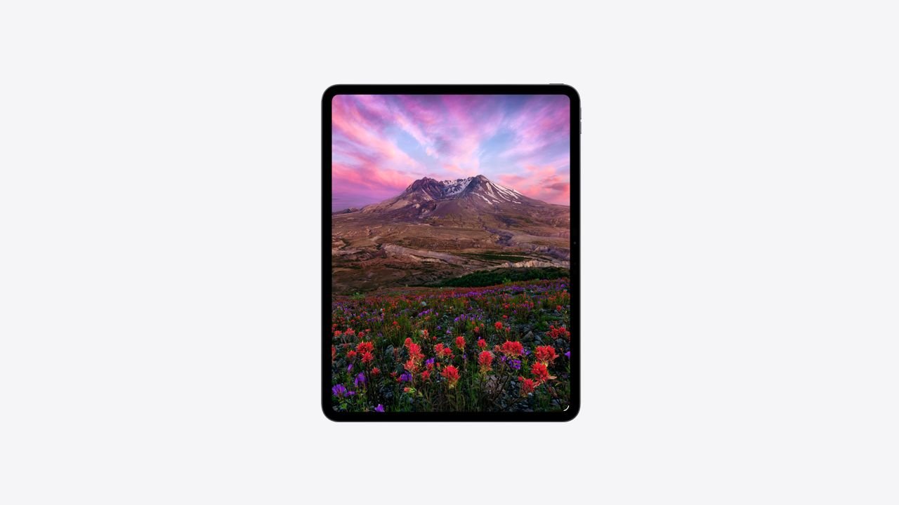 iPad Pro M4 13 1TB Wi-Fi + Cellular ナノテク 13インチiPadProM4 1TB