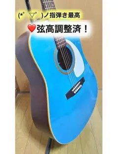 2026年最新】seagull s6の人気アイテム - メルカリ