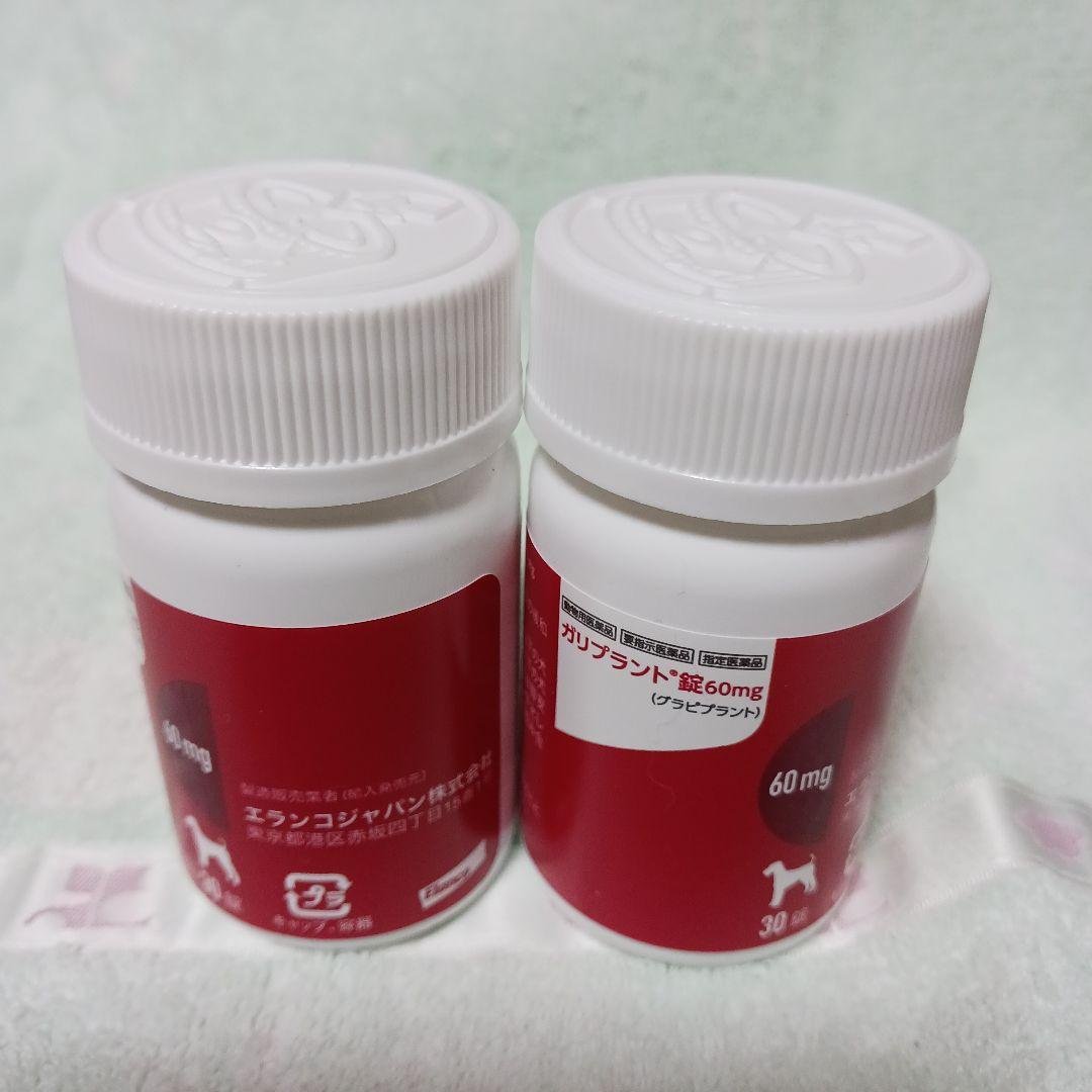 ガリプラント60mg 30錠×２本セット ガリプラント錠 | エランコジャパン株式会社 獣医師専用サイト