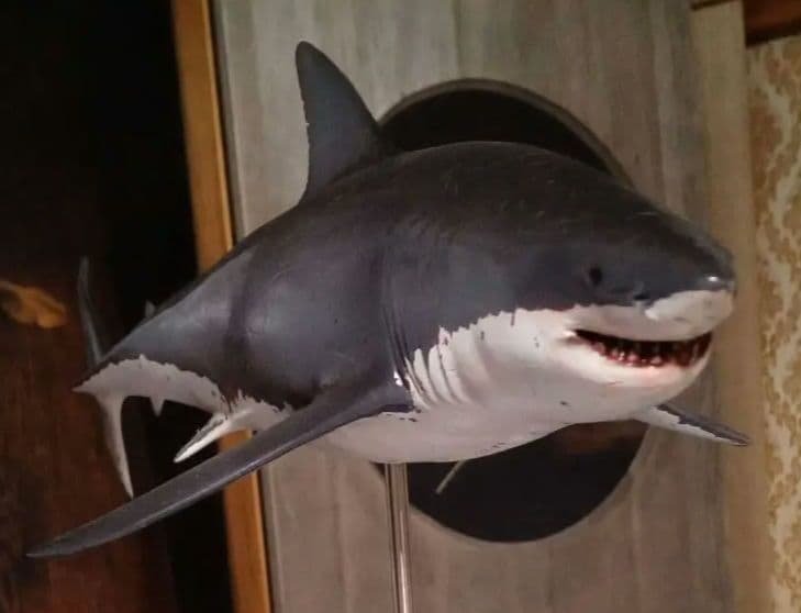 サメ 模型 ホホジロザメ 超絶モデル