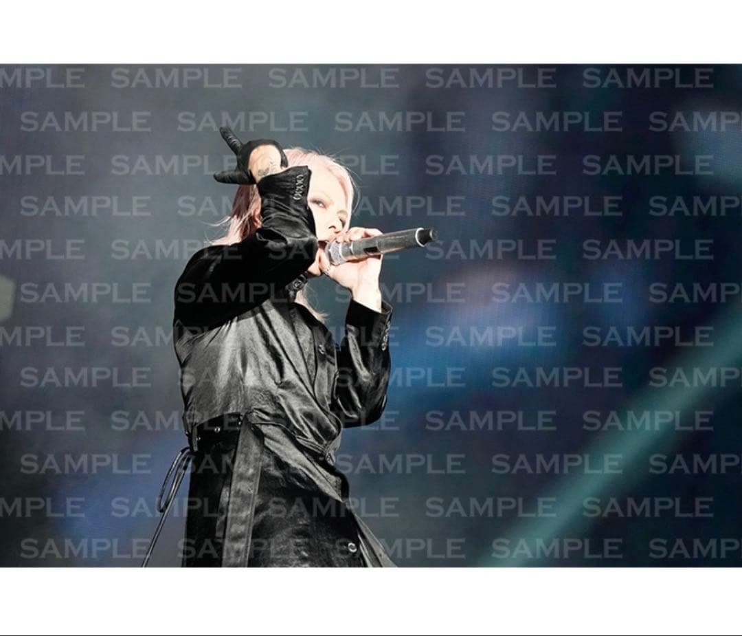 ラルク フォトブック ライヴ写真集 ラルクアンシエル L'Arc-en-Ciel
