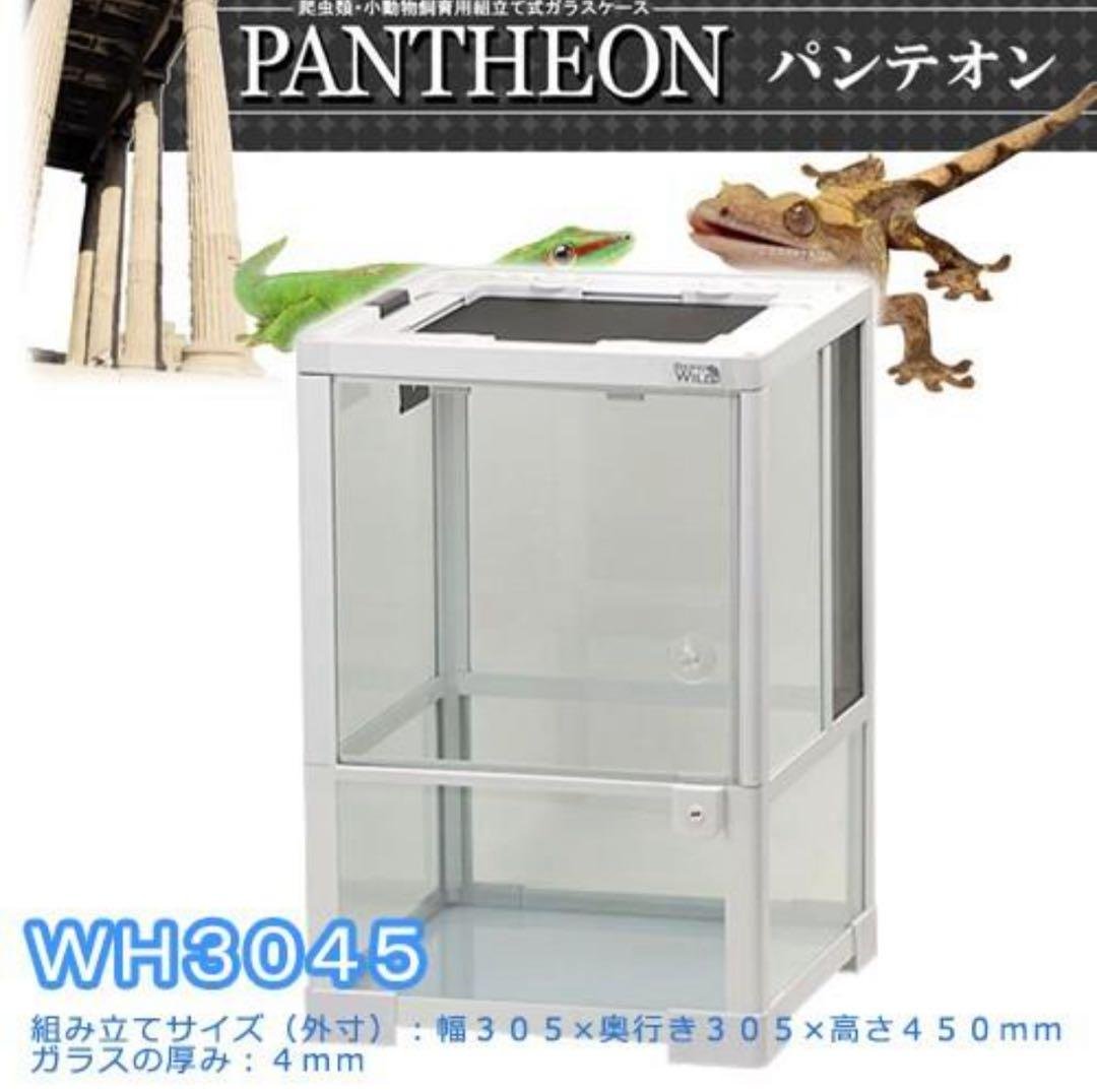 SANKO パンテオン　ホワイト　ＷＨ３０４５ 爬虫類ケージ 三晃商会 パンテオン ホワイト WH3045 | チャーム