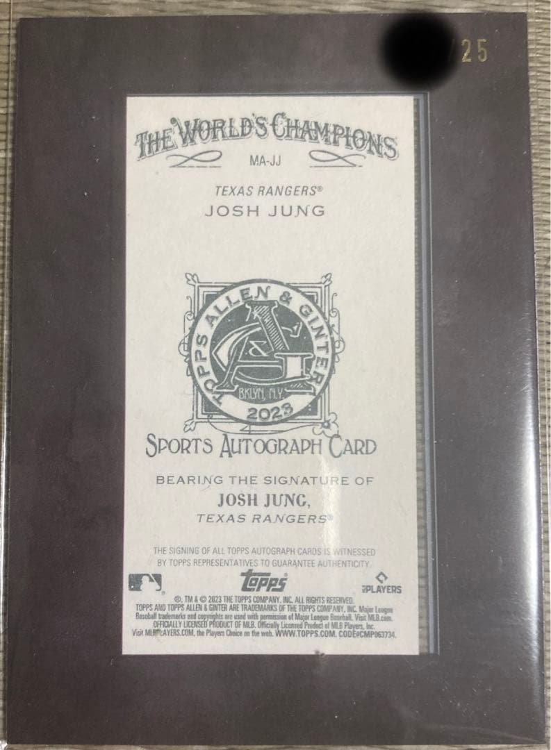 その他 2023 TOPPS ALLEN AND GINTER josh jung