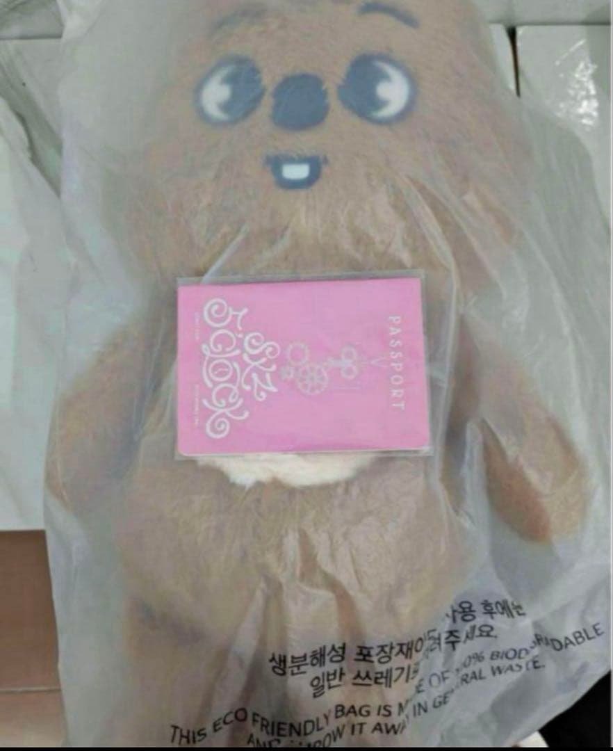 テディベア ぬいぐるみ teddybear SKZOO ハン　ハンクォ テディベア ぬいぐるみ teddybear SKZOO ハン ハンクォ Stray Kids