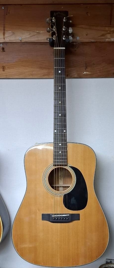 ARIA　AD-28 ドレッドノート　 アコースティックギター Aria Dreadnought AD-28 RITTERギグバッグ