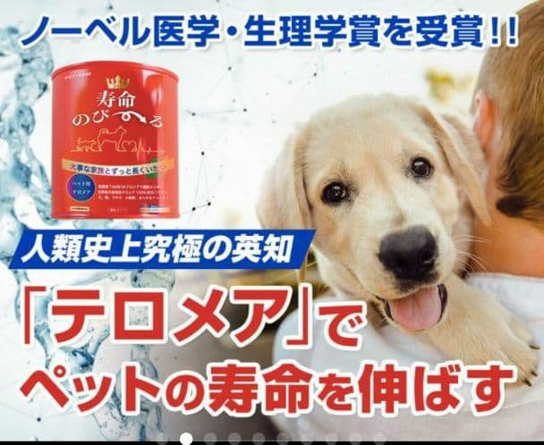 世界初！日本先行販売　ペット用テロメアのサプリ　普段のご飯に混ぜるだけ　3缶 ペッタム ペット用テロメアサプリメント : ANIMA - 通販 - Yahoo