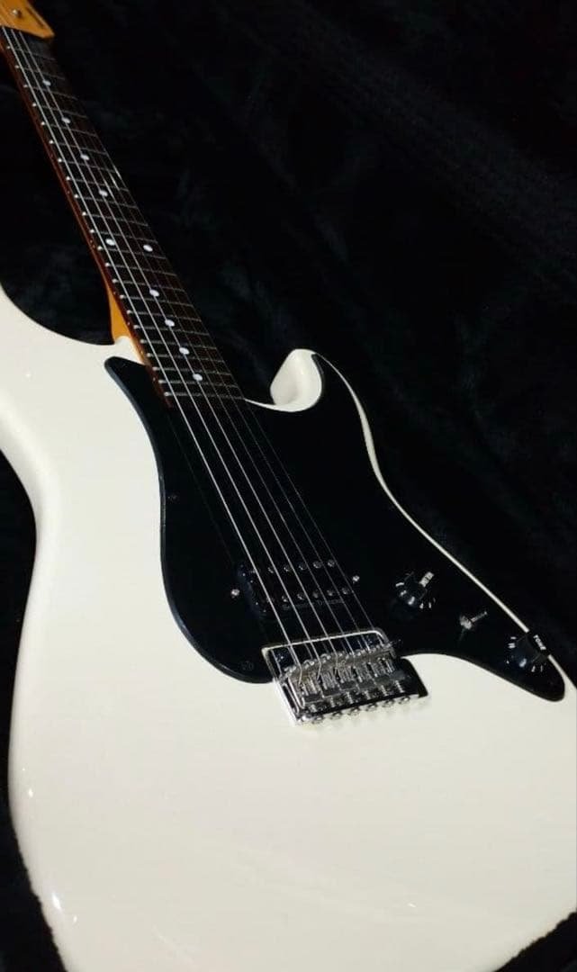FERNANDES 　STC-50　Allan Holdwarth FERNANDES STC-50/Allan Holdwarth 激レア！