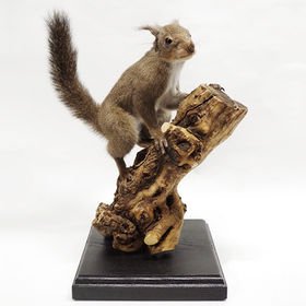香炉 メノウ 桃とコウモリ 香炉 メノウ 桃とコウモリ 香炉 メノウ 桃と